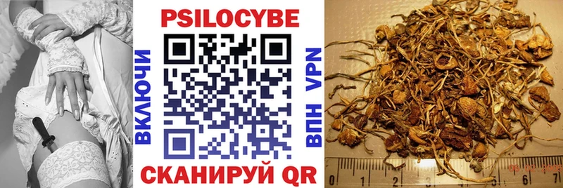 Галлюциногенные грибы мухоморы  Купить  Бирюсинск 